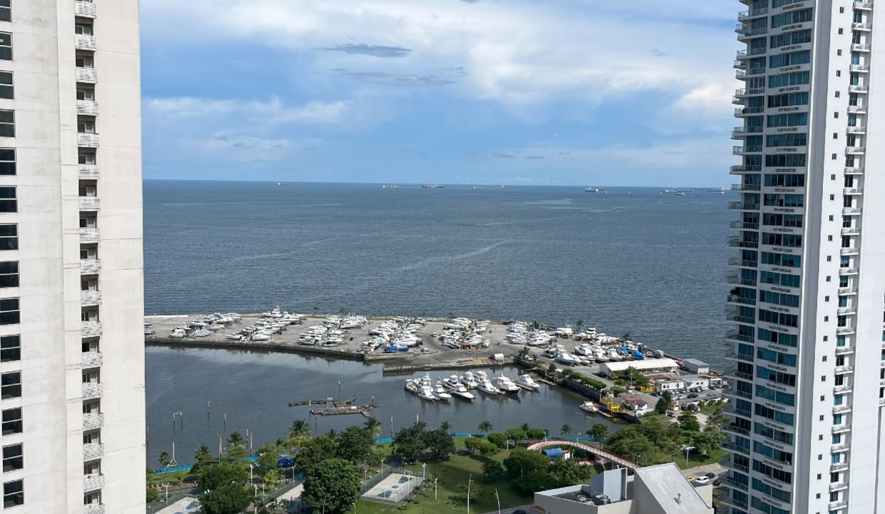 vista - copia-1