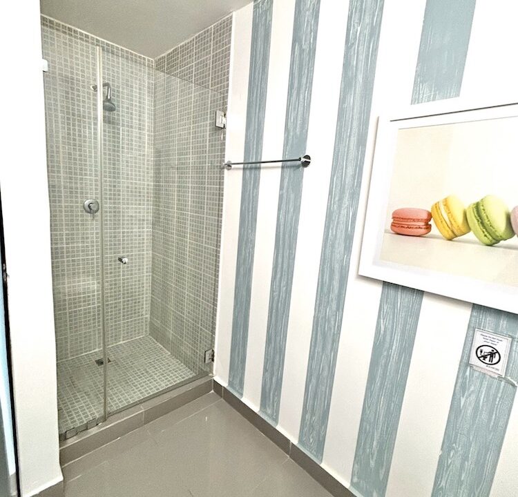 BAÑO VISITA 2