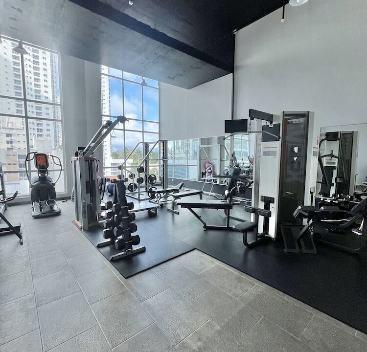 gymnasio